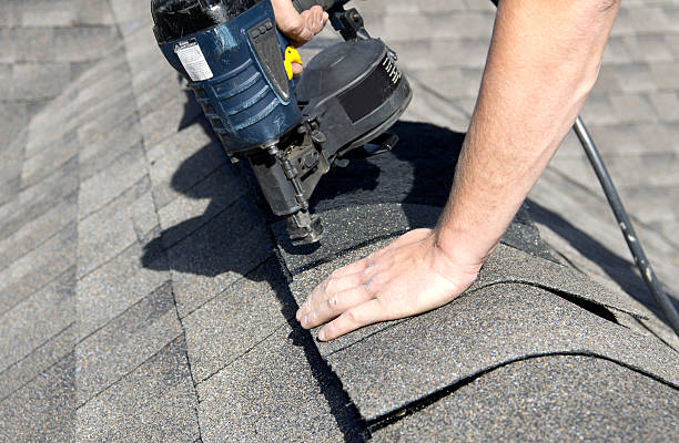 Best Roof Moss and Algae Removal  in Stanley, NC